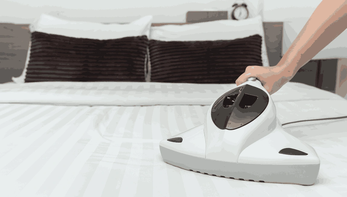 Professional Mattress Cleaning Mount Waverley